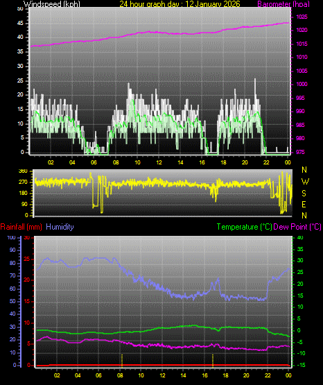 24 Hour Graph for Day 12