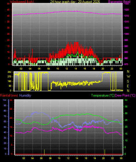 24 Hour Graph for Day 20