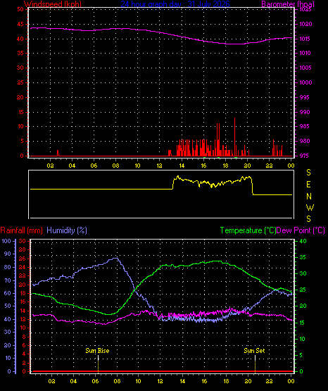 24 Hour Graph for Day 31
