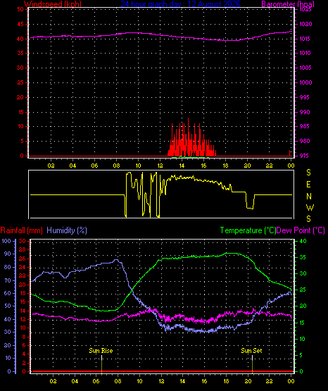 24 Hour Graph for Day 12