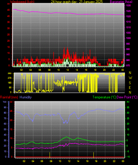 24 Hour Graph for Day 21
