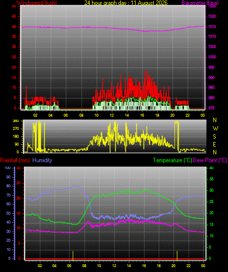 24 Hour Graph for Day 11