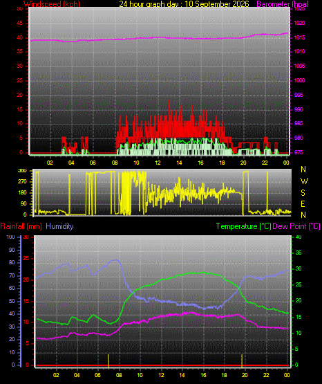 24 Hour Graph for Day 10