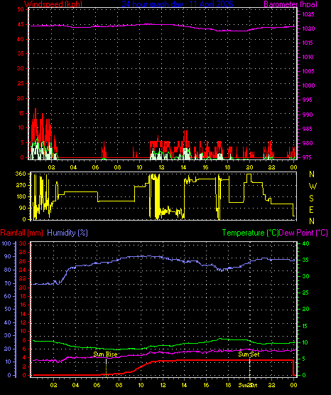 24 Hour Graph for Day 11