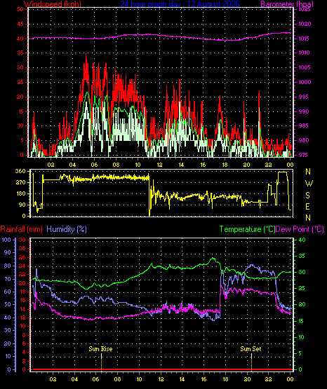 24 Hour Graph for Day 12