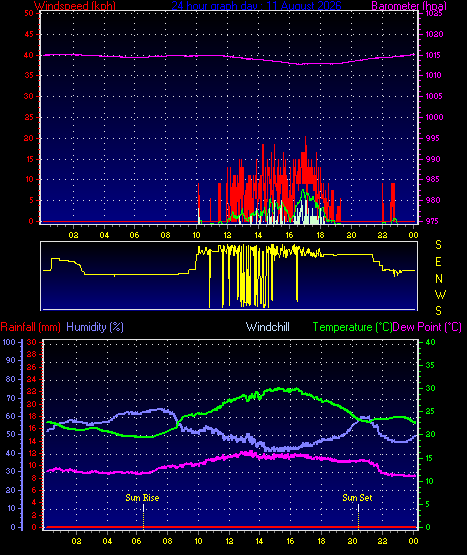 24 Hour Graph for Day 11