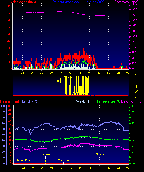 24 Hour Graph for Day 11