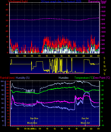 24 Hour Graph for Day 12
