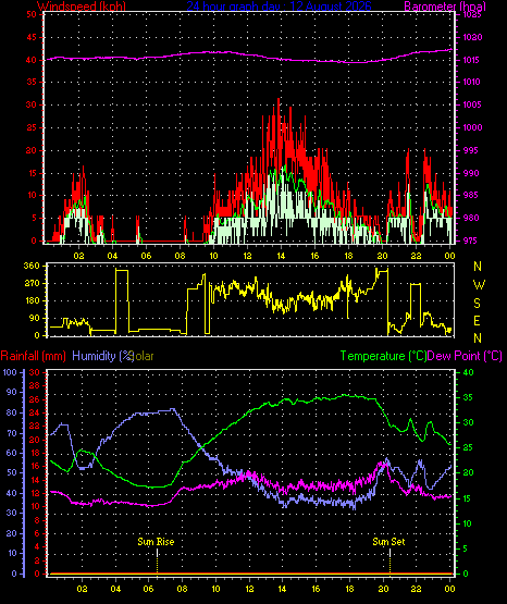 24 Hour Graph for Day 12